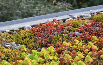 the cost of Golcar green roof installation