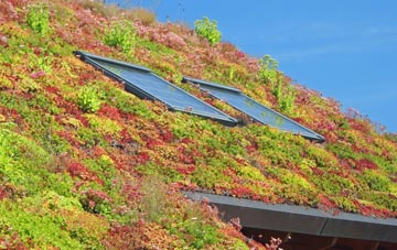 Golcar living roof systems